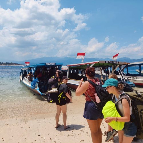 WhatsApp Image 2025-11-25 at 2.40.31 PM