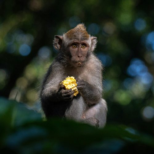 pexels-farlight-34897098