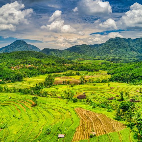 pexels-tomfisk-2032110