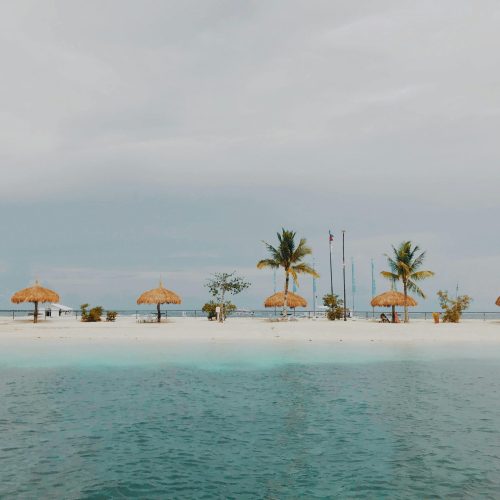 pexels-trixdevi-4437109